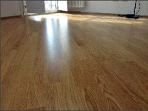 Gaedil Global Service 015